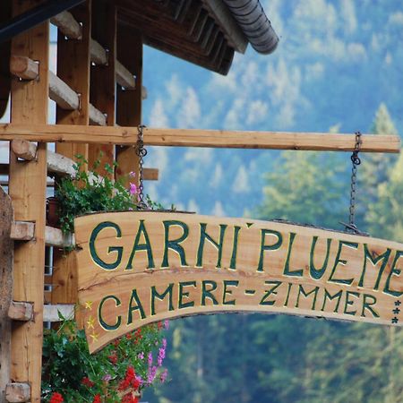 Hotel Garni Plueme Sauris Zewnętrze zdjęcie
