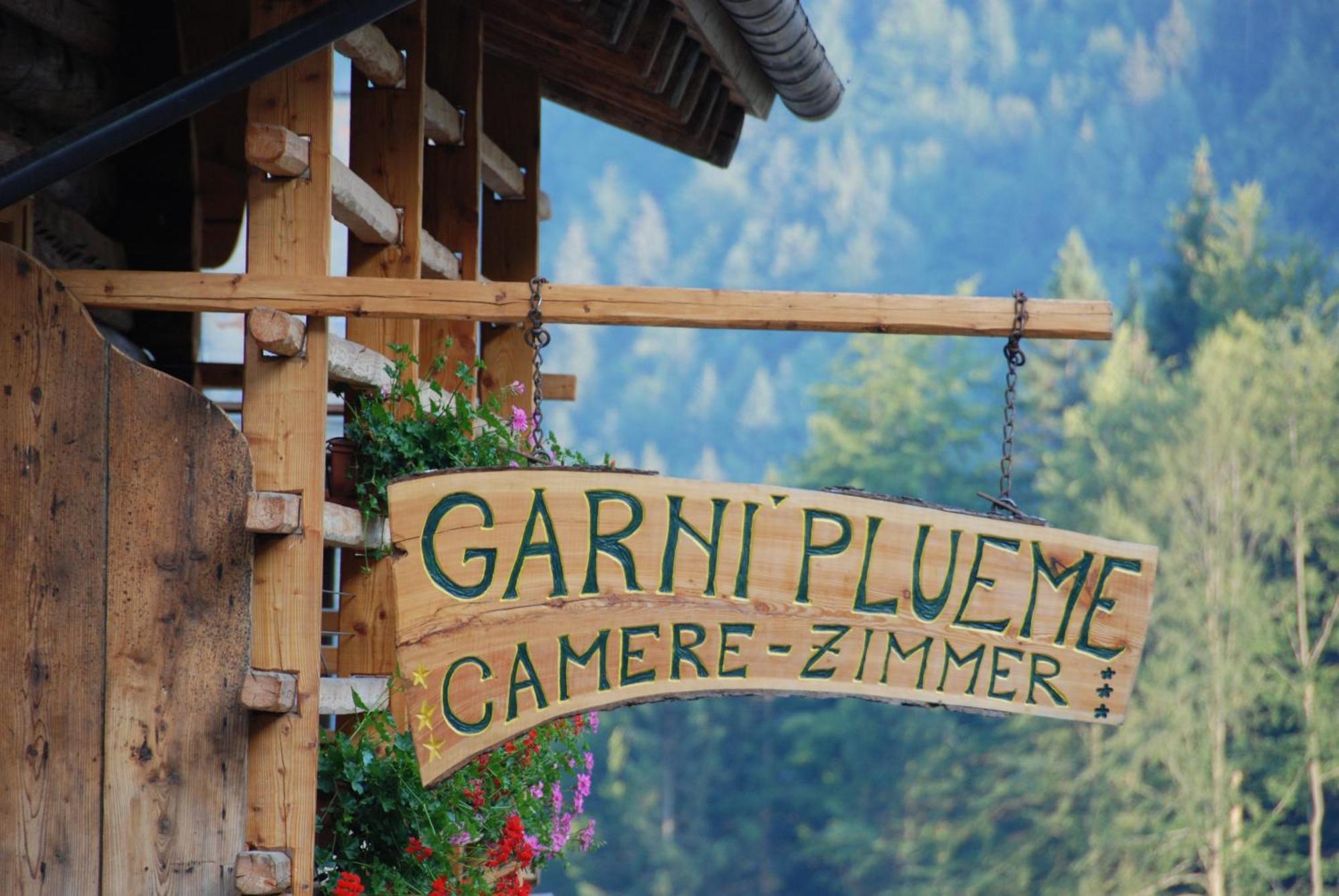 Hotel Garni Plueme Sauris Zewnętrze zdjęcie